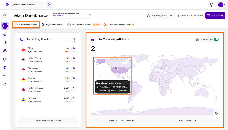 Live Visitors Map in the Master Dashboard Live Visitors Map in the Master Dashboard