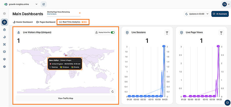 Live Visitors Map (Uniques) in the Real-Time Analytics Dashboard