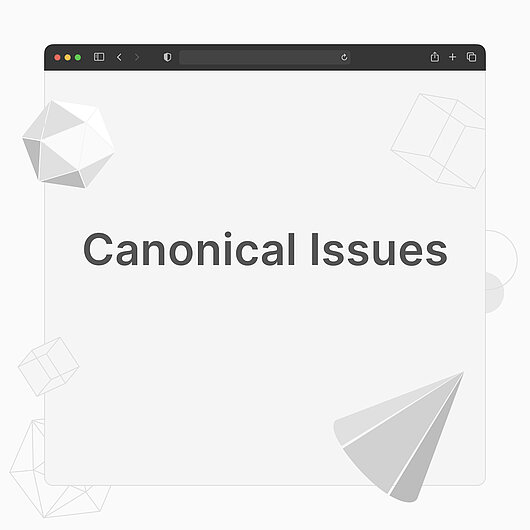 What are Canonical Issues?