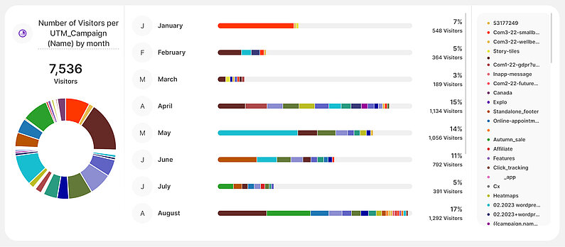 Number of Visitors per UTM_Campaign (Name) by month Chart